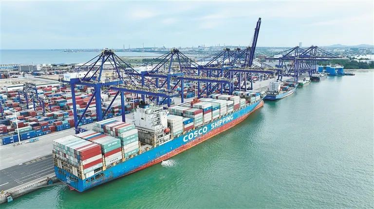 再创新高 儋州洋浦2024年上半年货物贸易进出口总值644亿元